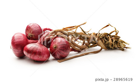 Fresh red onion Fresh red onion 28965619