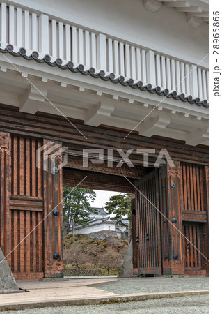 小田原城の風景 28965866