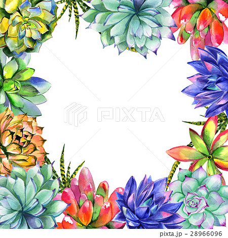 Wildflower succulentus flower frame in a 28966096