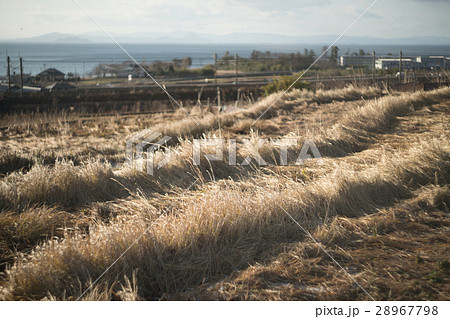 琵琶湖の湖西・高島市の鵜川の高台（滋賀県の風景） 28967798