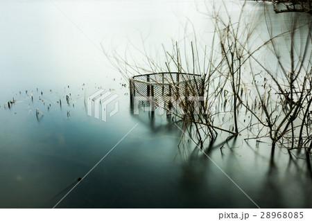 鏡湖と呼ばれる余呉湖で長時間露光（滋賀県の風景） 28968085