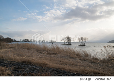 絶景・長浜・湖北水鳥公園の夕景(滋賀県の風景) 絶景・長浜・湖北水鳥公園の夕景(滋賀県の風景) 28968102