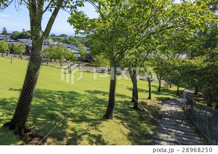 奈良県・若草山 奈良県・若草山 28968250