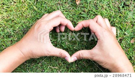 Closeup hand heart shaped on green grass for love 28968471