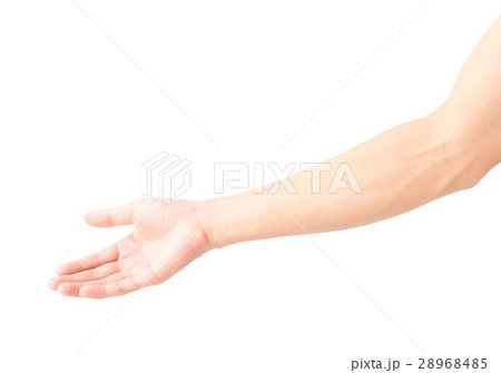 Man arm with blood veins on white background 28968485