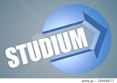 Studium 28968677