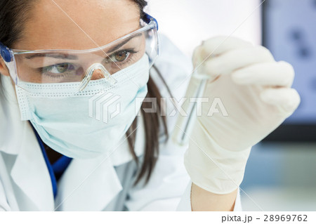 Female Research Scientist Test Tube In Laboratory Female Research Scientist Test Tube In Laboratory 28969762