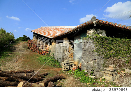 やちむんの里・8（沖縄県中頭郡読谷村） 28970643