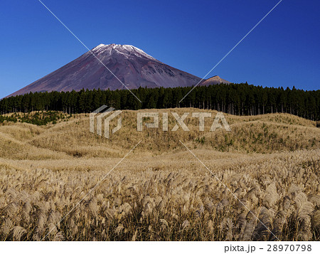 すすき原と富士山 山梨県 の写真素材