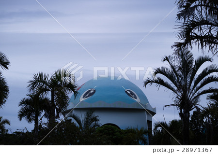 グラデーションの雲と漫湖のクジラ 28971367