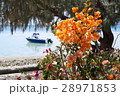 花と船 28971853
