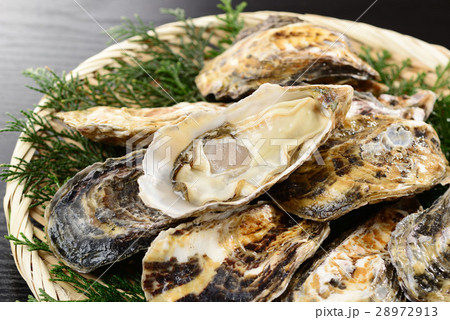 牡蠣 牡蠣 28972913