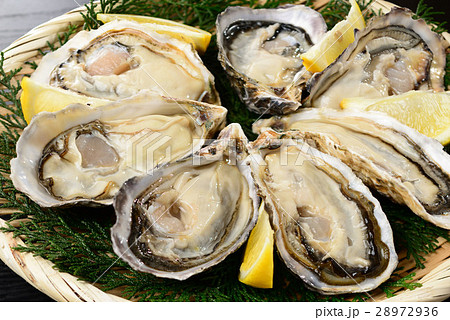 牡蠣 28972936