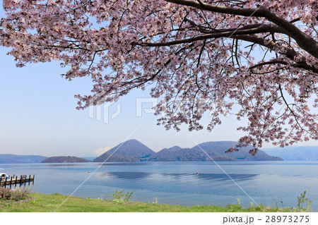 洞爺湖の桜、遠くに羊蹄山も。 洞爺湖の桜、遠くに羊蹄山も。 28973275