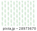 葉脈のすだれ 28973670