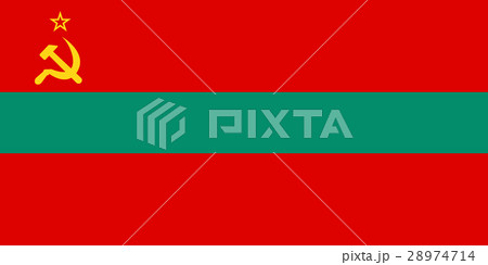 Official vector flag of Transnistria  28974714