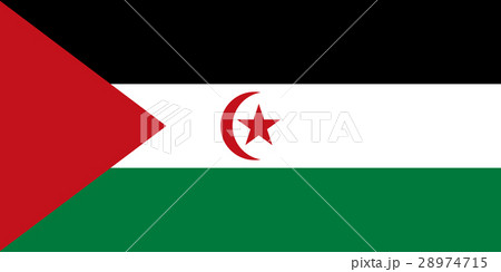 Official vector flag of Western Sahara . 28974715
