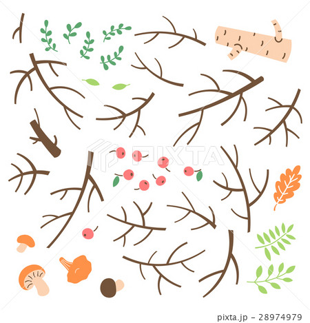 Set of branches, twigs, sticks drawn in a simple Set of branches, twigs, sticks drawn in a simple 28974979