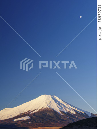 残月と富士山（山梨県）縦 28979731