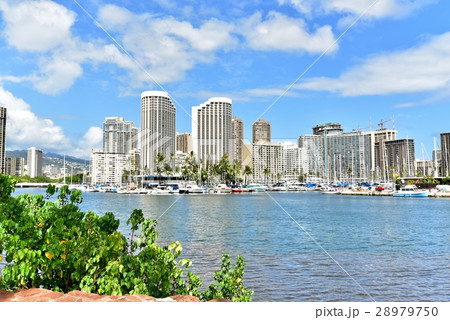 ハワイの休日 ハワイの休日 28979750