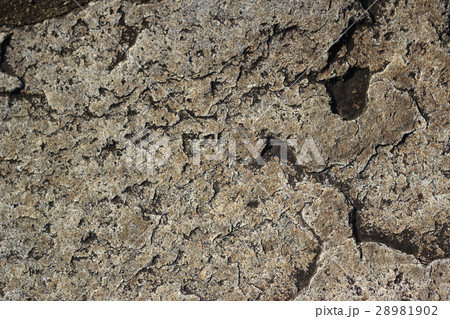 荒い岩肌 28981902