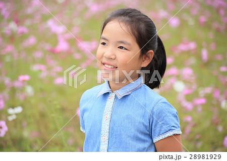 日本人の子供 女の子 花畑の子供 スナップ写真の写真素材