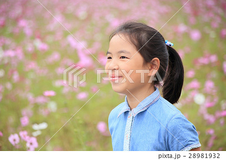 日本人の子供　女の子　花畑の子供　スナップ写真 28981932