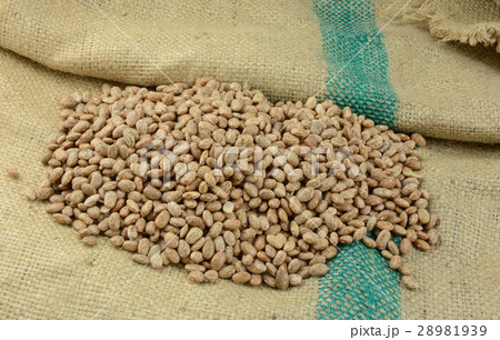 Pile of pinto beans on burlap Pile of pinto beans on burlap 28981939