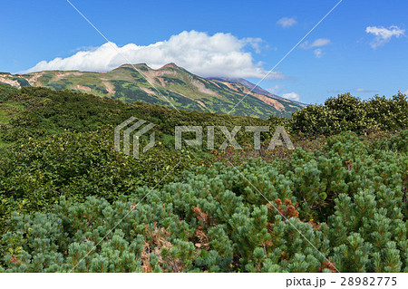 Vilyuchinsky stratovolcano in the clouds. View Vilyuchinsky stratovolcano in the clouds. View 28982775