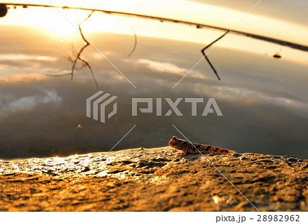 小舟 小型船 スモールボート 28982962