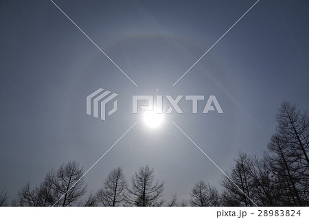 冬空の日暈 【雪山】 太陽のかさ  28983824