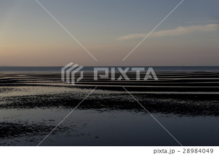 御輿来海岸 御輿来海岸 28984049