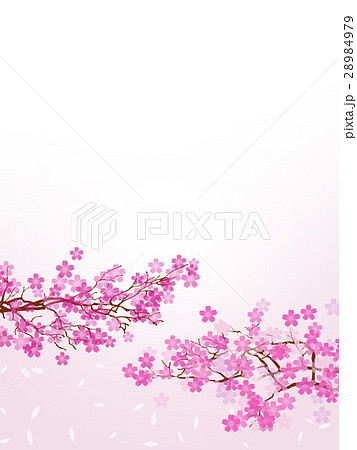 桜の木 桜 花柄 和柄のイラスト素材