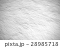 White fur background – Stock Image 28985718