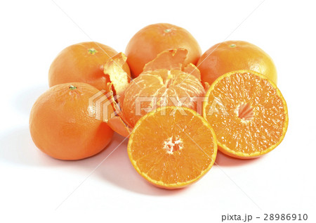 みかん（はまさき） 28986910