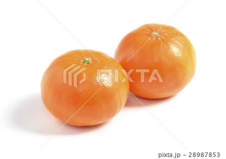 みかん(はまさき) みかん(はまさき) 28987853