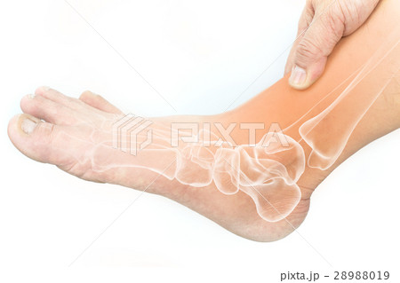 foot bones pain white background foot bones pain white background 28988019