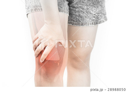 Knee muscle pain Knee muscle pain 28988050