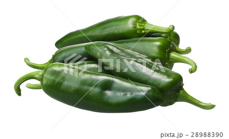 Pile of Anaheim chile peppers, paths Pile of Anaheim chile peppers, paths 28988390