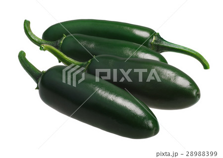 Serrano hot chile peppers, paths 28988399