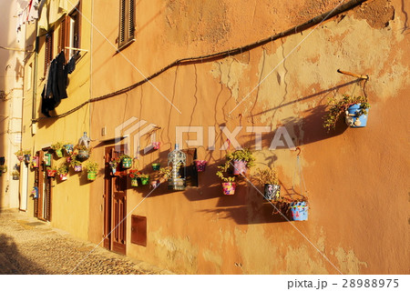 alghero アルゲーロ sardegna サルデーニャ alghero アルゲーロ sardegna サルデーニャ 28988975