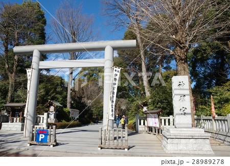 阿佐ヶ谷神明宮 28989278