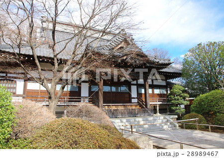 高円寺 高円寺 28989467