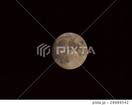 月齢13.1 28989542