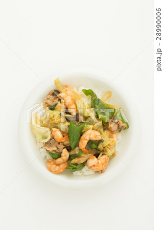 中華丼　中華飯　野菜炒め 28990006