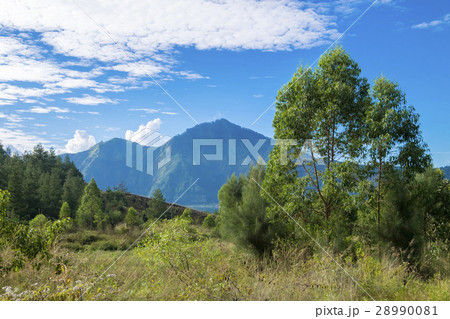 バリ島 キンタマーニ高原バトゥール山の麓 バリ島 キンタマーニ高原バトゥール山の麓 28990081