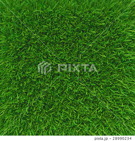 Green grass. natural background texture. Green grass. natural background texture. 28990234
