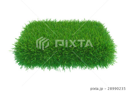 Square of green grass field over white background Square of green grass field over white background 28990235