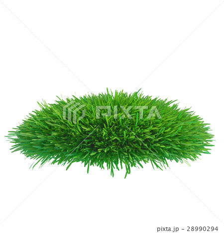 green grass meadow 28990294