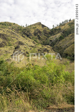 バリ島　キンタマーニ高原のバトゥール山 28990443